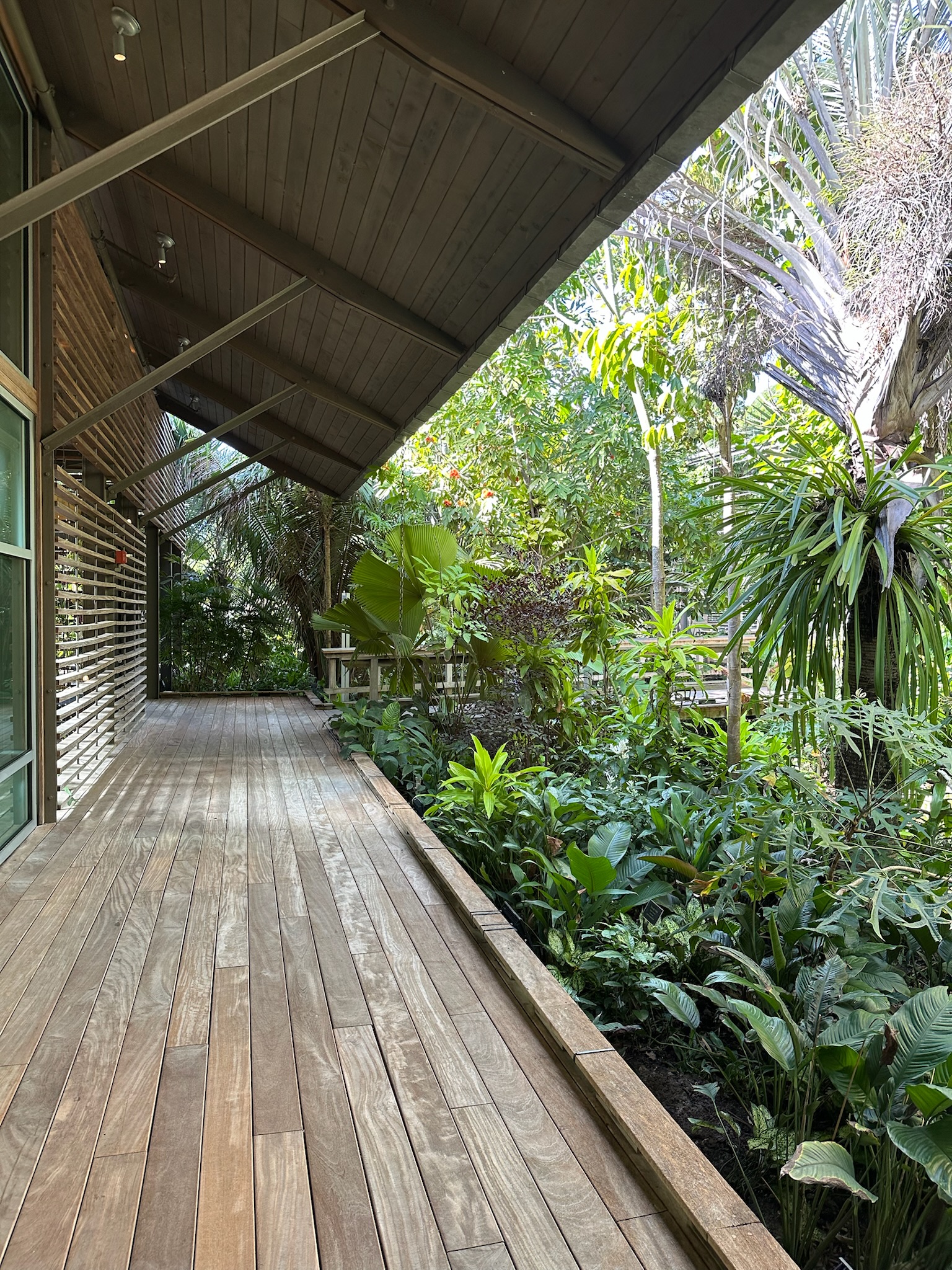 Serene Boardwalk